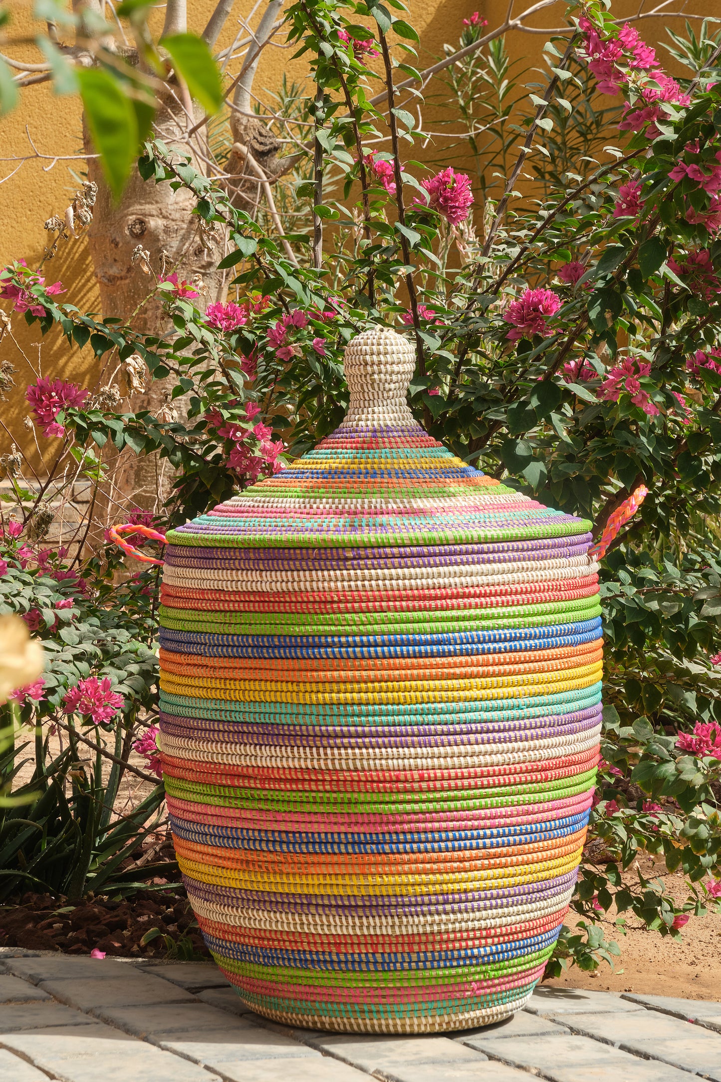 The Rainbow Hamper